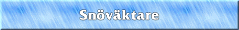 Snvktare